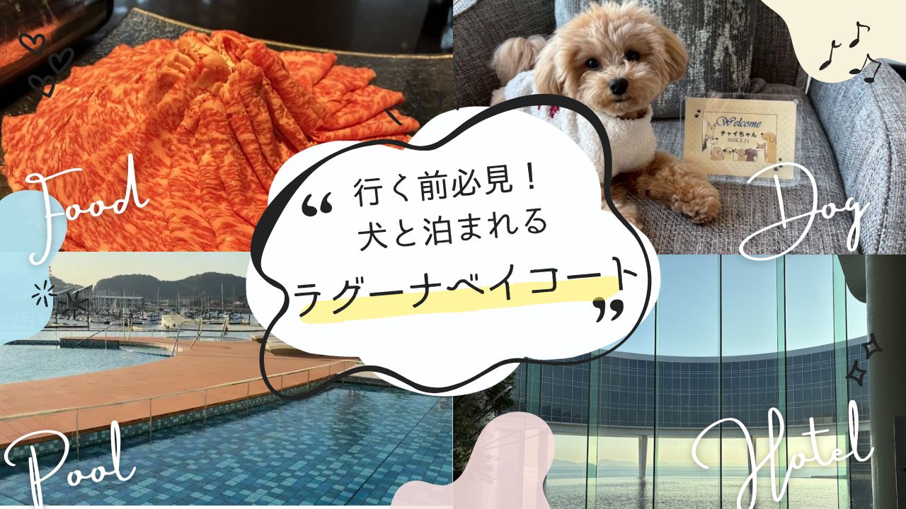 【行く前必見】ラグーナベイコート倶楽部に犬と泊まったリアルな感想｜料金と注意点まとめ