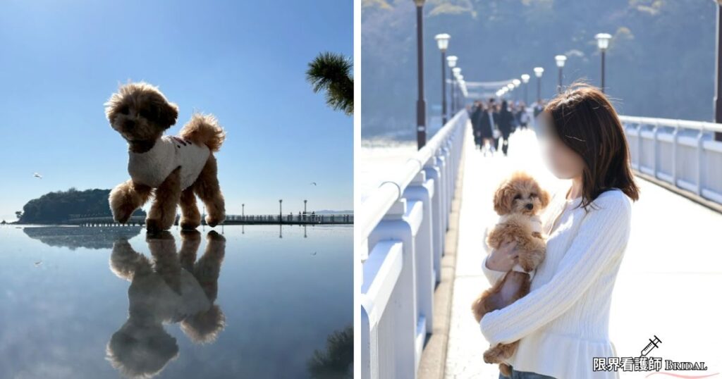 ラグーナベイコート周辺施設②竹島