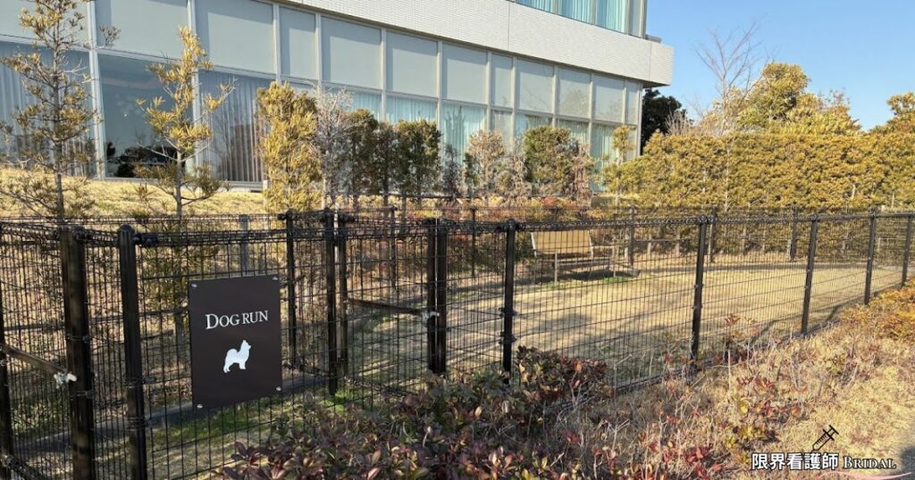 ラグーナベイコートの館内や周辺を散策｜犬とどこまで一緒に行ける？